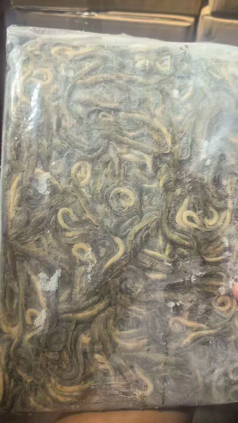 bagged frozen loach block showing cold frozen packing option
